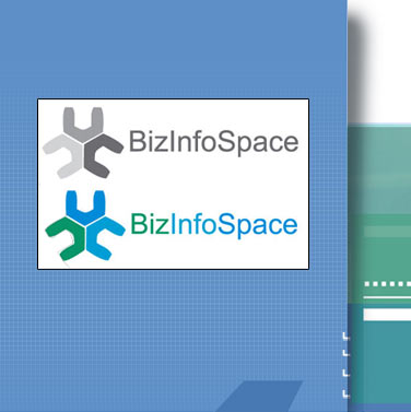 BizInfoSpace